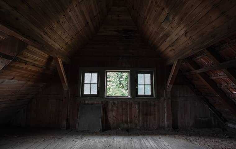 a dirty attic space